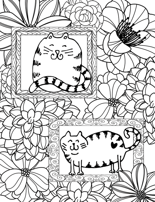 13- framed cats