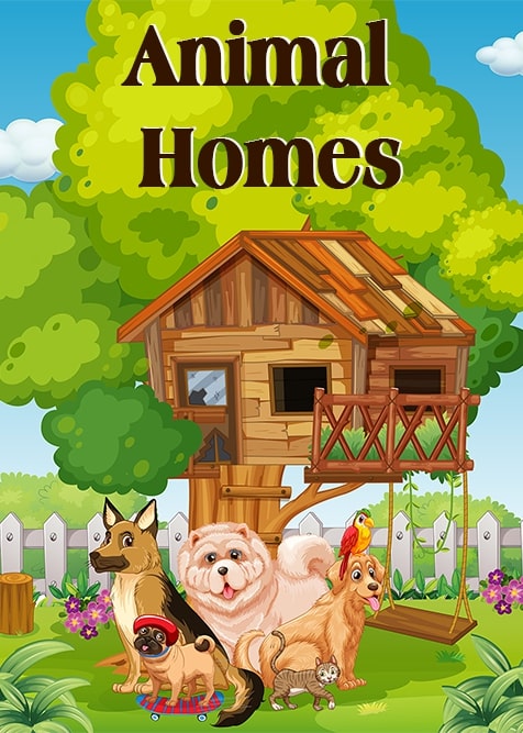 Animal Homes