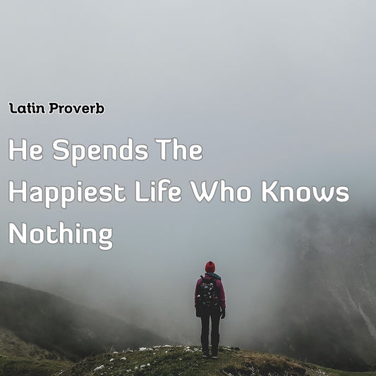 proverbs quote 540