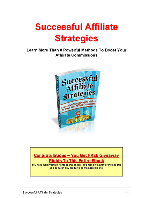 Successful Affiliate Strategies