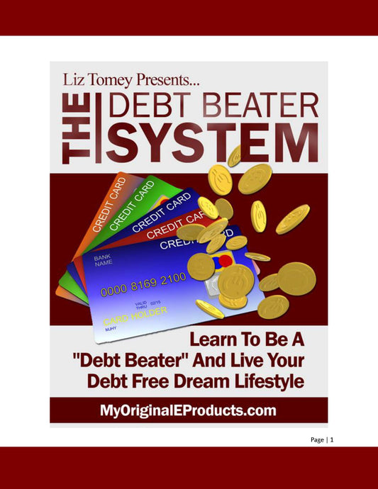 the debt beater system