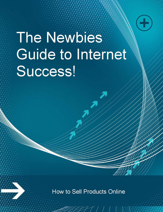 The Newbies Guide to Internet Success