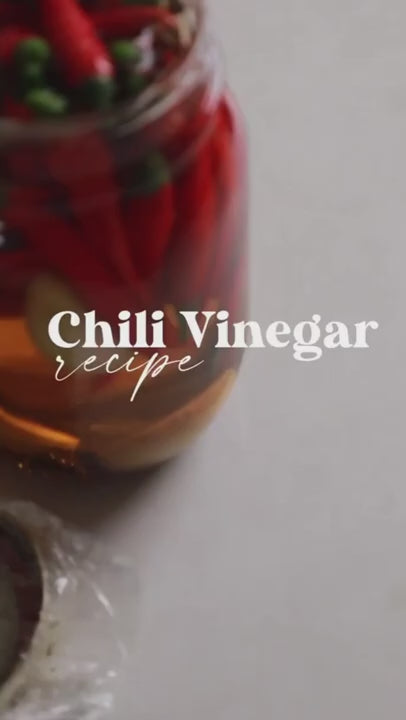 Red chili vinegar recipe  - HOW TO MAKE AT HOME - Easy & Quick